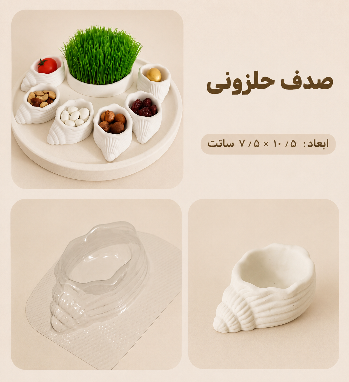 قالب طلقی صدف حلزونی